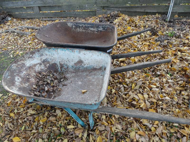 lot 651 image: 2 wheel barrows