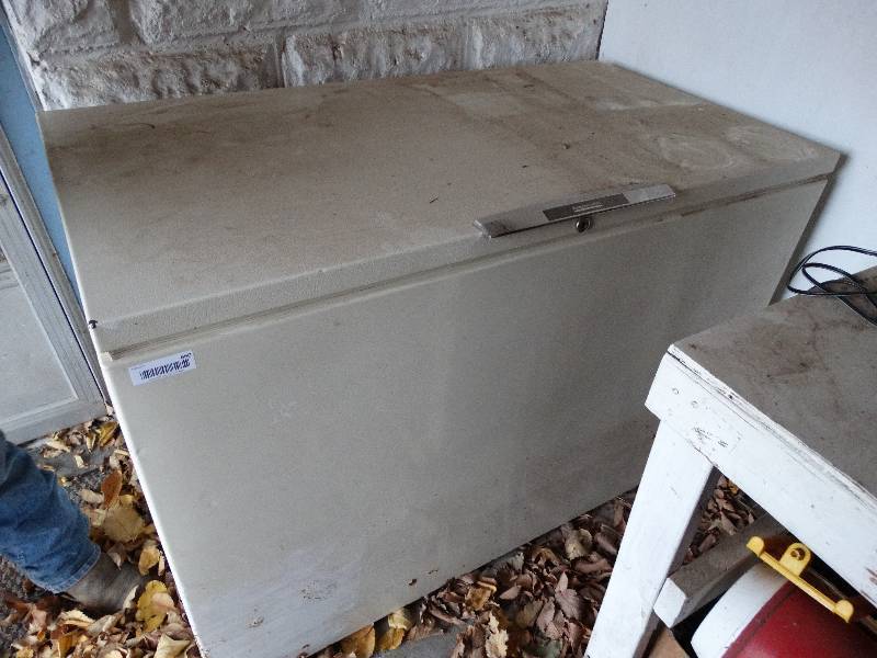 lot 660 image: Montgomery Ward chest freezer- Works