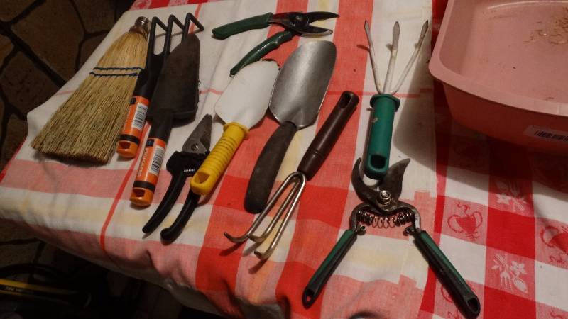 lot 586 image: Lot of various gardening tools