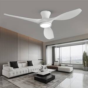 lot 46808 image: TALOYA 52 inch Ceiling Fans with Lights Remote Control, Modern Low Profile Ceiling Fan with Quiet Reversible DC Motor for Bedroom Living Room and Patio White - Retail - $129.98