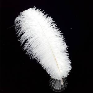 lot 41953 image: HAPPY FEATHER 16-18 inch White Ostrich Feathers Craft for Wedding Party Centerpieces Home Decoration DIY Craft Pack of 10