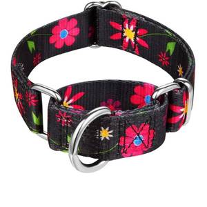lot 41960 image: Dazzber Martingale Collar Floral Print Dog Collar - No Pull Pet Collar, Heavy Duty for Medium Dogs, Adjustable Neck 14 Inch to 21 Inch, Sun Flower (Black)