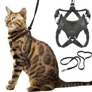 lot 42074 image: Houdini�� Escape Resistant Cat Harness and Leash Set by OutdoorBengal for Walking Cats (M)