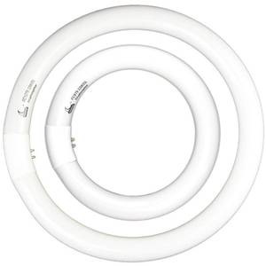 lot 42162 image: FC8T9 22W and FC12T9 32W Daylight Set , Round Fluorescent Bulb 8 inch T9 22 Watts & Circular Light Bulbs 12 inch 32 Watts kit, Circline Kitchen and Bath Fluorescent Lamp, CRI 80, DL 6500K, G10q Prong