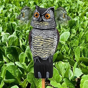 lot 42255 image: Owl Decoys to Scare Birds Squirrels Away,Owls to Frighten Birds 360 Degree Rotating Head,Plastic Owl Decoy to Scare Birds Away Deterrent,Garden Owls Bird Scare Devices for Indoor Outdoor Garden,Yard