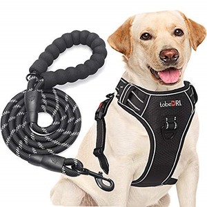 lot 42349 image: tobeDRI No Pull Harness with A Free Heavy Duty 5ft Leash for Medium Large Dog Adjustable Reflective Oxford Easy Control (L (Neck 18-25.5, Chest 24.5-33), Black HarnessLeash)
