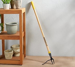 lot 45911 image: Grampa s Weeder - The Original Stand Up Weed Puller Tool With Long Handle - Made With Real Bamboo & 4-Claw Steel Head Design - Easily Remove Weeds Without Bending Pulling or Kneeling - Retail $96.03