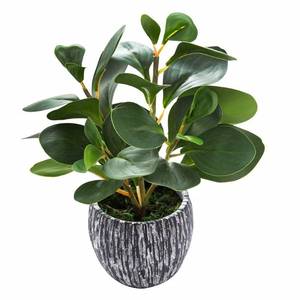 lot 69791 image: AlphaAcc Artificial Plants Real Looking and Touching Fake Plant Evergreen Plastic Fiddle Leaf Fig Plant with Rustic Black Cement Planter for Housewarming Office Desk Decor