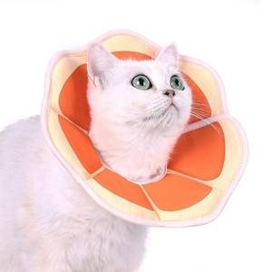lot 69822 image: Pawfun Cat Cone Collar Soft, Protective Cat Recovery Collar to Stop Licking After Surgery, Comfortable Kitten Cones Elizabethan Collar for Small Medium Large Cats Prevent from Licking Wounds
