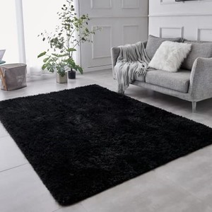 lot 69876 image: TABAYON Shaggy Black Rug, 2x3 Area Rugs for Living Room, Anti-Skid Extra Comfy Fluffy Floor Carpet for Indoor Home Decorative