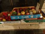 Lot of various candles & faux fruit