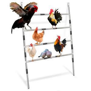 lot 340116 image: Frebuta Chicken Coop Roosting,Chicken Perch for Coop Set (63 L x 41 W) Accessories Roosting Bars Poultry Habitat Supplies Backyard Extra LargeChicken Supplies Stainless Steel & Sturdy Easy Clean