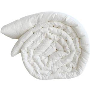 lot 440088 image: Retails $530 Four Quilt Core Spring and Autumn Quilt Winter Quilt Thickened Quilt Air Conditioner Quilt Winter Quilt