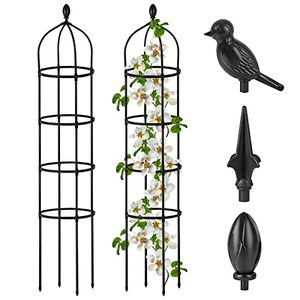 lot 440129 image: Garden Obelisk Trellis for Climbing Plants Outdoor 6 Ft Rose Bush Round Trellis for Pots Rustproof Metal Plant Flower Trellises for Clematis Vine Jasmine Support Outdoor Indoor