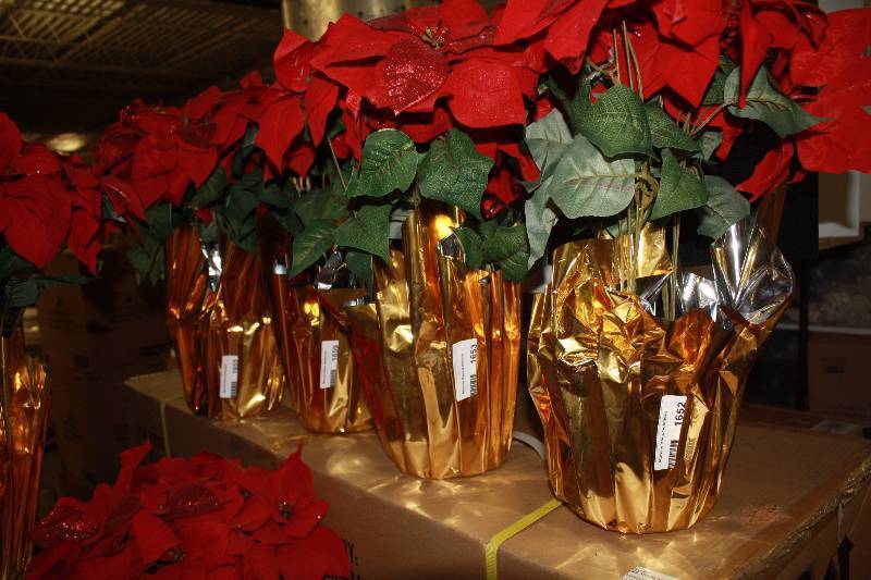 lot 1654 image: 3 - Christmas Red Silk Poinsettia in Foil Pots