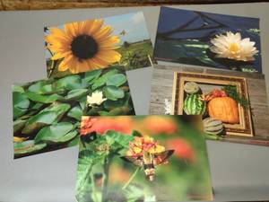 lot 59 image: 5 Vinyl Placemats 17x11 (Local Artist)