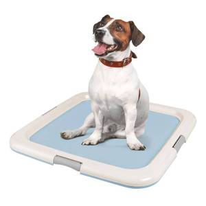 lot 1913 image: IRIS USA Pee Pad Holder, Square Dog Pad Hoder, Secured Latches, Non-Skid Rubber Feet, High Polish Finish for Easy Cleaning, Leak Protection Dog Potty Tray, Fits 20x20 Pad or Larger, Blue