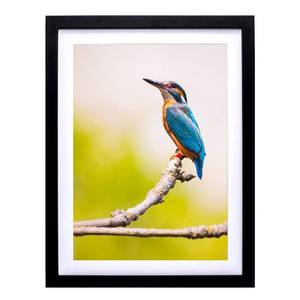 lot 2647 image: Mxtallup Diamond Painting Picture Frames12x16, Display Pictures 10x14 With Mat or 12x16 Without Mat, Diamond Art Picture Frames Wood Diamond Embroidery Photo Frames Black (TYK002)