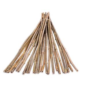 lot 4740 image: Backyard X-Scapes Natural Bamboo Stakes 38 in-12 in D x 48 in H (25PC)
