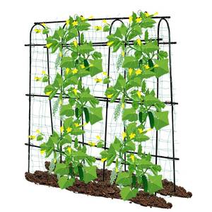 lot 4869 image: SCENDOR Cucumber Trellis for Raised Beds 70.8 L x 11.8 W x 70.8 H, Garden Trellis for Climbing Plants Outdoor, Black U-Shaped Large MetalPE Coated Grow Support for Vines, Vegetables