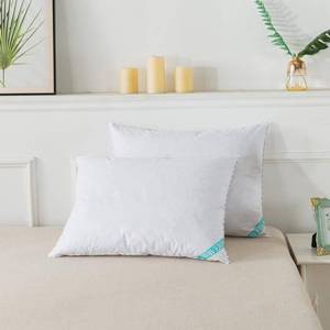 lot 2953 image: St. James Home Nano Feather 2-Piece Pillow Set, Queen