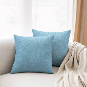 lot 4148 image: All Smiles Set of 2 Sky Blue Throw Pillow Covers Outdoor Patio Pillows for Sofa Bed Couch 20x20 Cushion Decorations Pillowcase Square