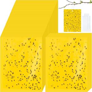 lot 4218 image: Qualirey 250 Pcs 6 x 8 Inch Sticky Traps for Plant Double Sided Sticky Trap for Gnats with Twist Ties Bugs Sticky Traps Plant Fruit Fly Traps for Indoor Outdoor (Yellow)