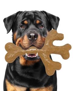 lot 3245 image: Boutiray Dog Chew Toy for Aggressive Chewers Real Bacon Flavor Nylon Bone Durable Sturdy Tough Dogs Toys Teething Cleaning Stick for Large Medium Breeds