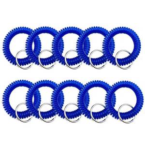 lot 3301 image: Spriral Wrist Coil Keychain 5 pcs Stretchable Key Ring Band Keychain Gym Swimming(Blue)