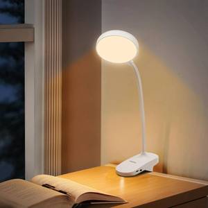 lot 50909 image: IIOSUYUI LED Small Desk Lamp, Desk Lamps for Home Office, White Desk Light for Kids, DesktopComputer Study Lamps, Rechargeable, Battery Operated, Adjustable Gooseneck Reading Lamp