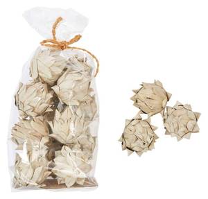 lot 51005 image: Creative Co-Op Approximately 3 H Handmade Dried Natural Leaf Bag (Contains 13 Pieces) Palm Lead Artichoke, Off-White, Count