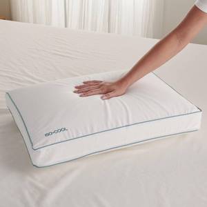 lot 52901 image: SleepBetter Iso-Cool Foam Pillow, 1 Count (Pack of 1), Serene Side Sleeper