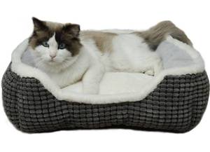 lot 53034 image: Dog Beds for Small Dogs, Cute Cat Beds for Indoor Cats, Super Soft Washable Cat Bed with Anti-Slip & Water-Resistant Bottom, Luxury Durable Kitten Bed and Puppy Bed, Square Grey Animal Pet Beds