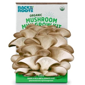 lot 53079 image: Back to the Roots Organic Mini Mushroom Grow Kit, Harvest Gourmet Oyster Mushrooms In 10 days, Top Gardening Gift, Holiday Gift, & Unique Gift
