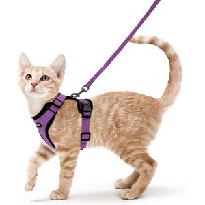lot 53085 image: rabbitgoo Cat Harness and Leash for Walking, Escape Proof Soft Adjustable Vest Harnesses for Cats, Easy Control Breathable Reflective Strips Jacket, Purple, XS