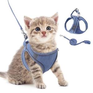 lot 53093 image: ORIA Pet Harness, Kitten Harness and Leash, Dog Cat Harness Leash Set, Adjustable Pet Vest with Reflective Strips and Chest Strap for Small Kitten, Puppy, Blue, XXS