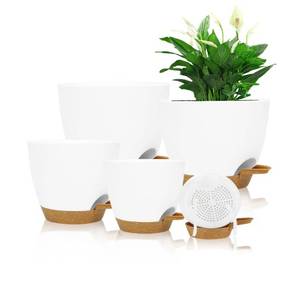 lot 53160 image: Self Watering Planters with Drainage Holes Reservoir,Nursery Planting Pot for Indoor Decor Garden Plants Succulents,Snake Plant, African Violet,Plastic Flower Pots Set 76.565.55 Inch (White)