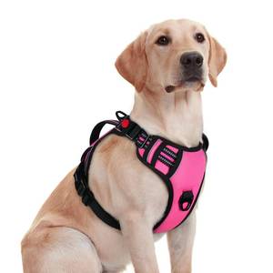 lot 60131 image: rabbitgoo Dog Harness Medium Sized, No Pull Pet Harness with Soft Padded Handle, Adjustable Reflective Vest with 3 Buckles, Easy Walking Harness with 2 Leash Clips, Pink, M