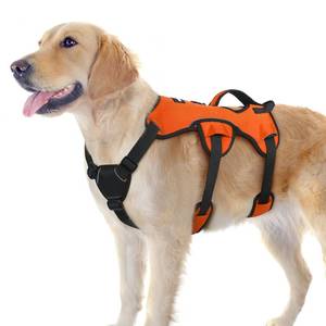 lot 60253 image: rabbitgoo Escape Proof Dog Harness, Soft Padded Full Body Pet Harness, Reflective Adjustable No Pull Vest with Lift Handle and Lesh Clip for Large Dogs Walking Hiking Training, L, Orange