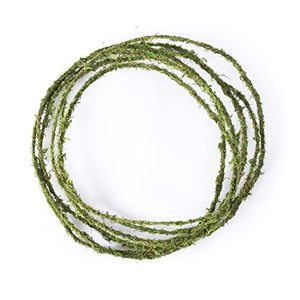 lot 60256 image: SuperMoss (22731) Mossy Floral Wire, 60 ft., Green