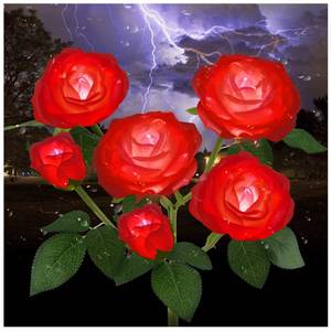 lot 60312 image: TYNLED Outdoor Solar Garden Stake Lights,Upgraded LED Solar Powered Light with 6 Rose Flowers, Waterproof Solar Decorative Lights for Patio Pathway Courtyard Garden Lawn
