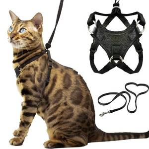 lot 60346 image: Houdini� Vegan Leather Escape Proof Kitten Harness and Leash Set - by OutdoorBengal for Walking Kittens (S)