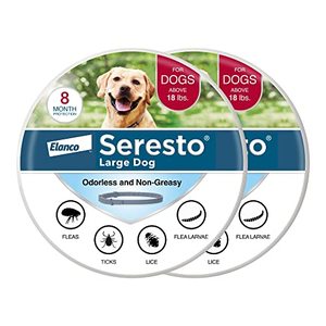 lot 60352 image: Seresto Large Dog Vet-Recommended Flea & Tick Treatment & Prevention Collar for Dogs Over 18 lbs.  2-Pack - Retail $107.67