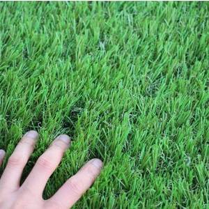 lot 8385 image: Realistic Synthetic Thick Fake Faux Grass Rug Astroturf Carpet Landscape for Dogs Indoor Outdoor Garden Lawn Mat, with Drainage Holes, 40 W