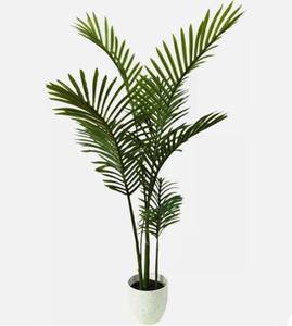 lot 8481 image: Moss & Bloom Artificial Areca Palm in Plant 4 Foot Retails $80
