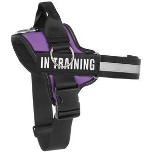 lot 66718 image: Essential Dog Harness