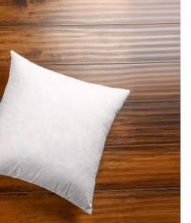 lot 31375 image: 24x24 Premium Goose Down Feather Throw Pillow Inserts(Set of 2) Down Filling,High Filling Weight,250 TC Cotton Cover, Square, White (Retail $18.99)