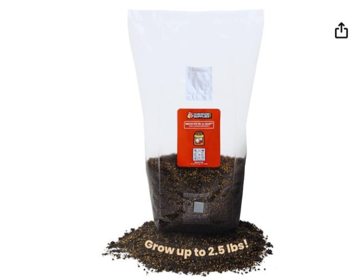 lot 33561 image: Mushroom Supplies, Grow Kit in-a-Bag, All-in-One, Spores Not Included, Easy to Use, Mushroom Grow Bag with Sterilized Grain and Substrate, Mycologist Recommended, 5 LB (Retail $41.99)