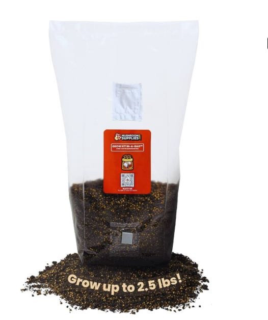 lot 33599 image: Mushroom Supplies, Grow Kit in-a-Bag, All-in-One, Spores Not Included, Easy to Use, Mushroom Grow Bag with Sterilized Grain and Substrate, Mycologist Recommended, 5 LB (Retail $41.99)