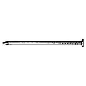 lot 46071 image: Stallion No. 4 1-12 in. Common Hot-Dipped Galvanized Steel Nail Flat Head 1 lb (2 boxes) (Retail $16.99)